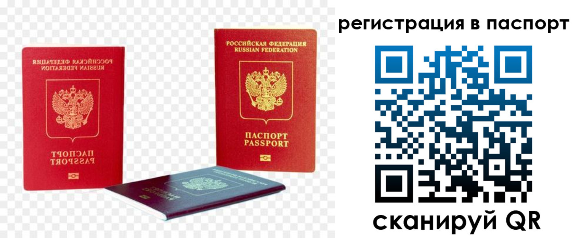временная регистрация поиск в Гае